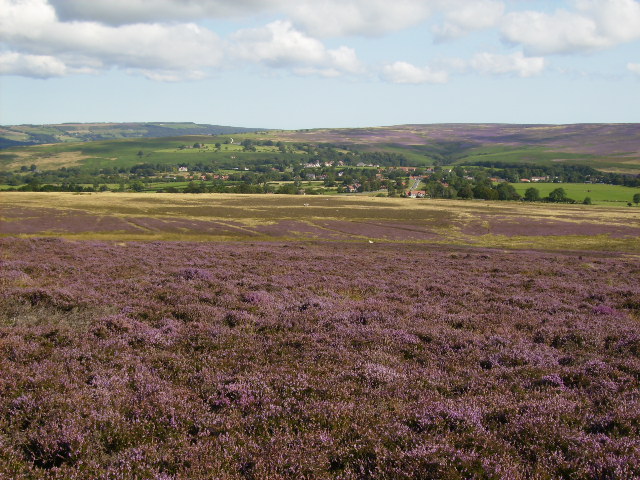 View across Two Howes Moor to Goathland - geograph.org.uk - 538086