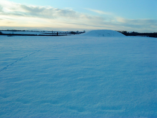 File:Windmill Mound, Cock Lodge - geograph.org.uk - 1636318.jpg