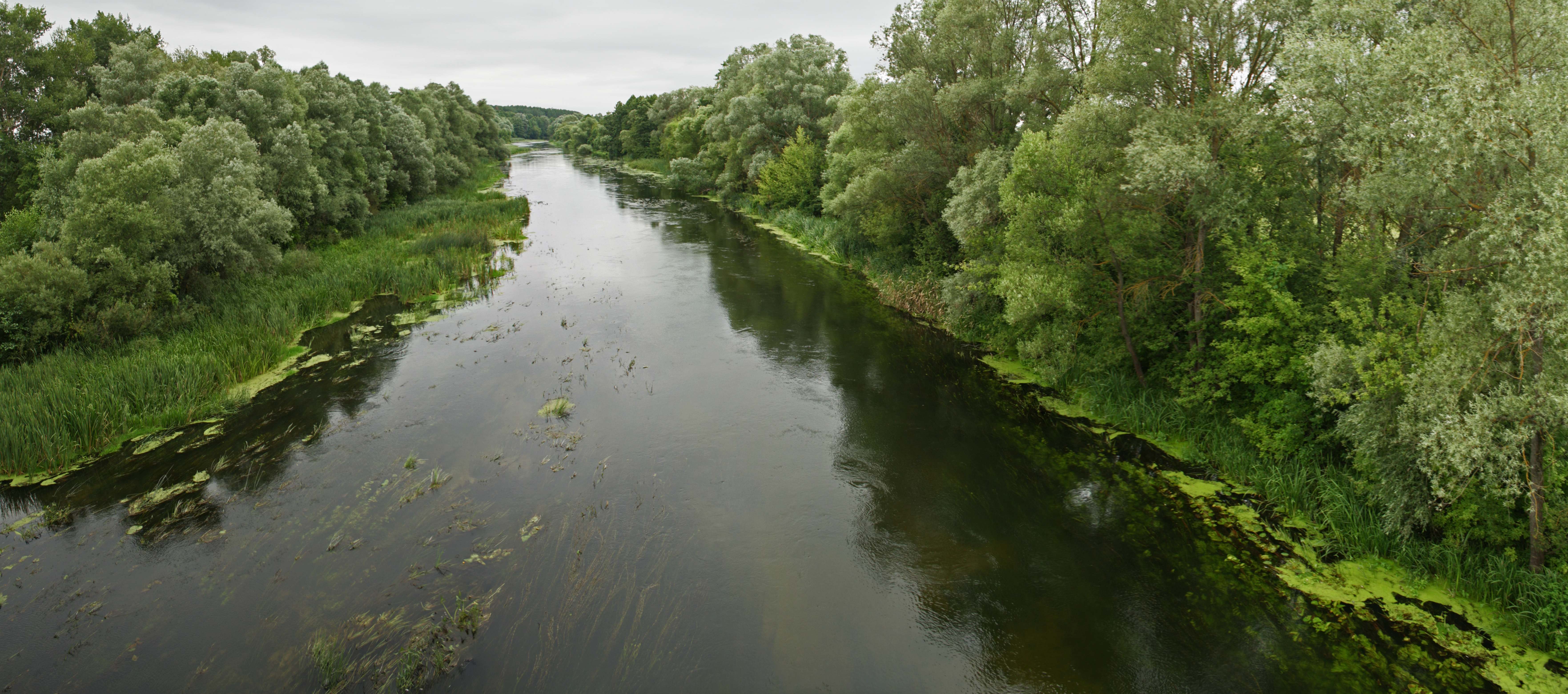 Река оскол белгородской области