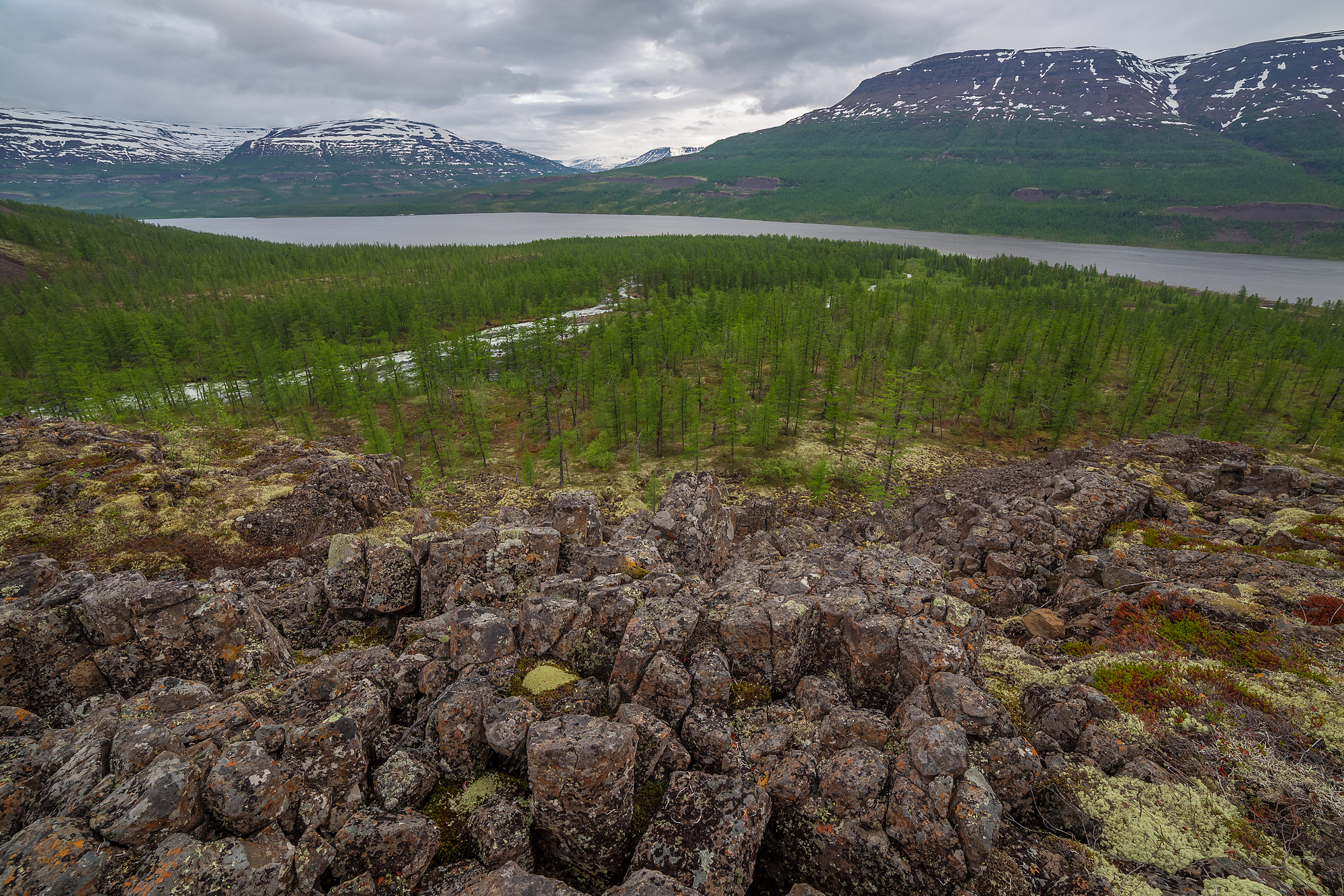 Плато путорана где. Идолы плато Путорана. Плато Путорана панорама. Плато Путорана грибы. Идолы и Тотемы на плато Путорана.