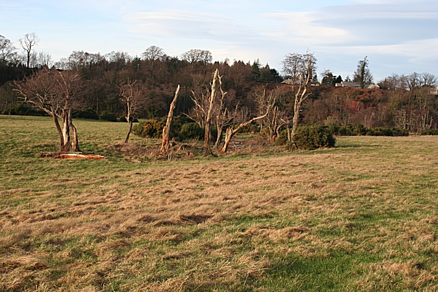 File:Abandoned River Channel - geograph.org.uk - 670578.jpg