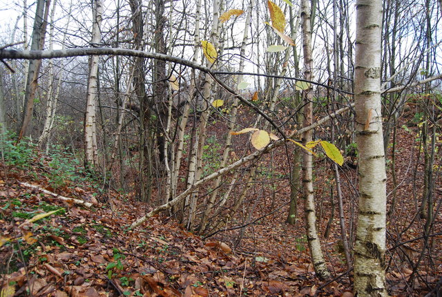 File:An old quarry, The Chestnuts - geograph.org.uk - 1612762.jpg