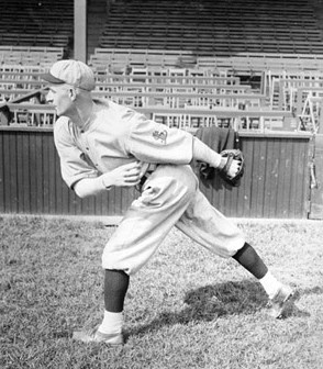 <span class="mw-page-title-main">Bill Doak</span> American baseball player (1891-1954)