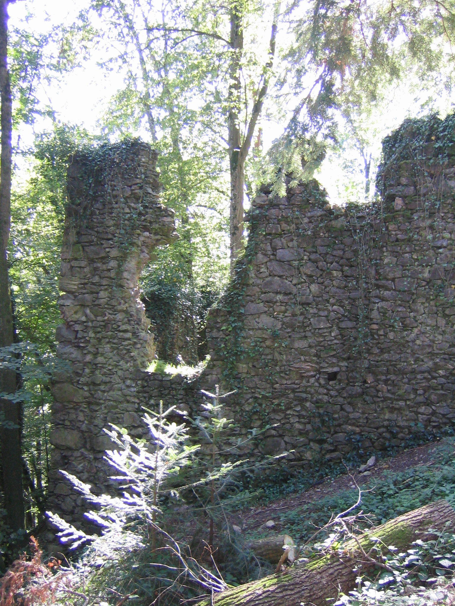 Ruins of castle Wiesneck at Buchenbach, Black Forest