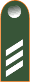 File:Bw031-Hauptgefreiter.png