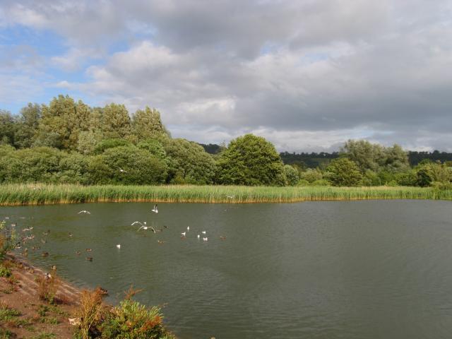 Chew Valley Lake, World Heritage Site - geograph.org.uk - 758