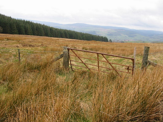 File:Coed Bwlch-y-tyno - geograph.org.uk - 396442.jpg