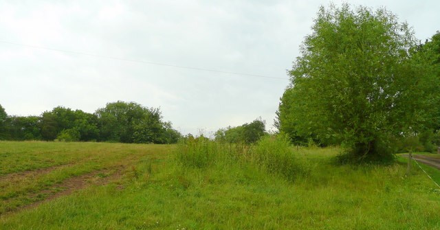 File:Common land by Purshull Green Farm - geograph.org.uk - 870573.jpg