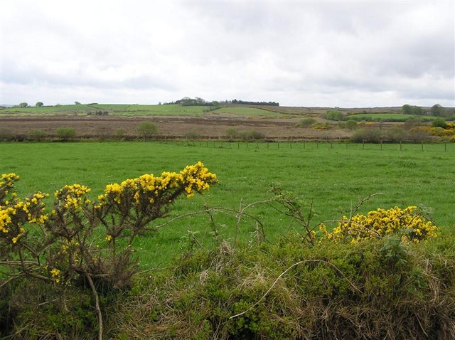 File:Creggan Townland - geograph.org.uk - 171286.jpg