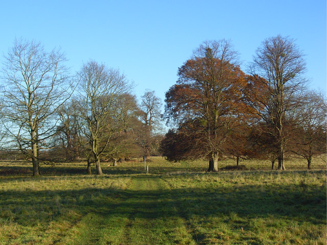 Crowsley Park - geograph.org.uk - 1059495