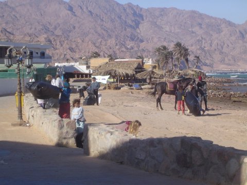 File:Dahab - Eel Garden.jpg