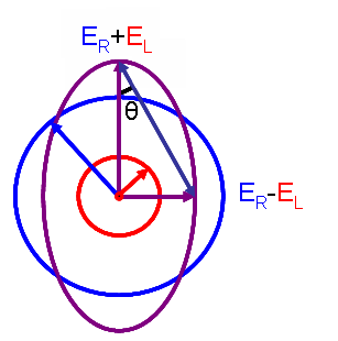 Circular Dichroism: Most Up-to-Date Encyclopedia, News & Reviews