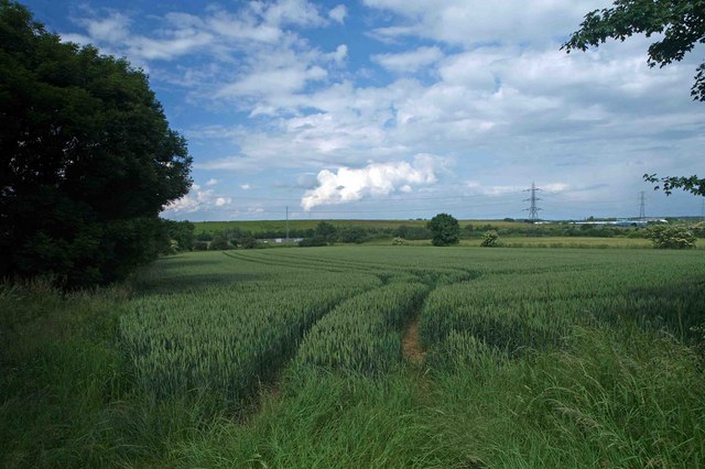 File:Farmland adjacent to the Cemetery - geograph.org.uk - 845506.jpg