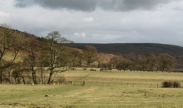 File:Field and Moor - geograph.org.uk - 717250.jpg