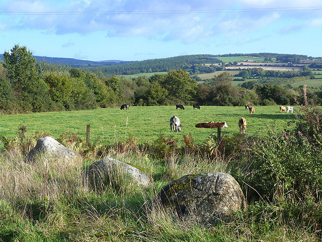 File:Field with cattle at Ballyeustace - geograph.org.uk - 4199133.jpg