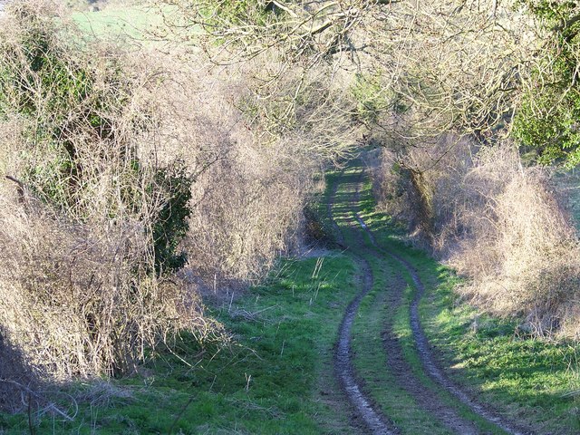 File:Gypsy Lane (Track), Coombe Bissett - geograph.org.uk - 744693.jpg