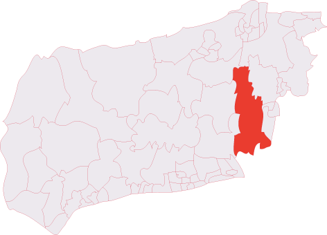 Hurstpierpoint & Bolney (electoral division)