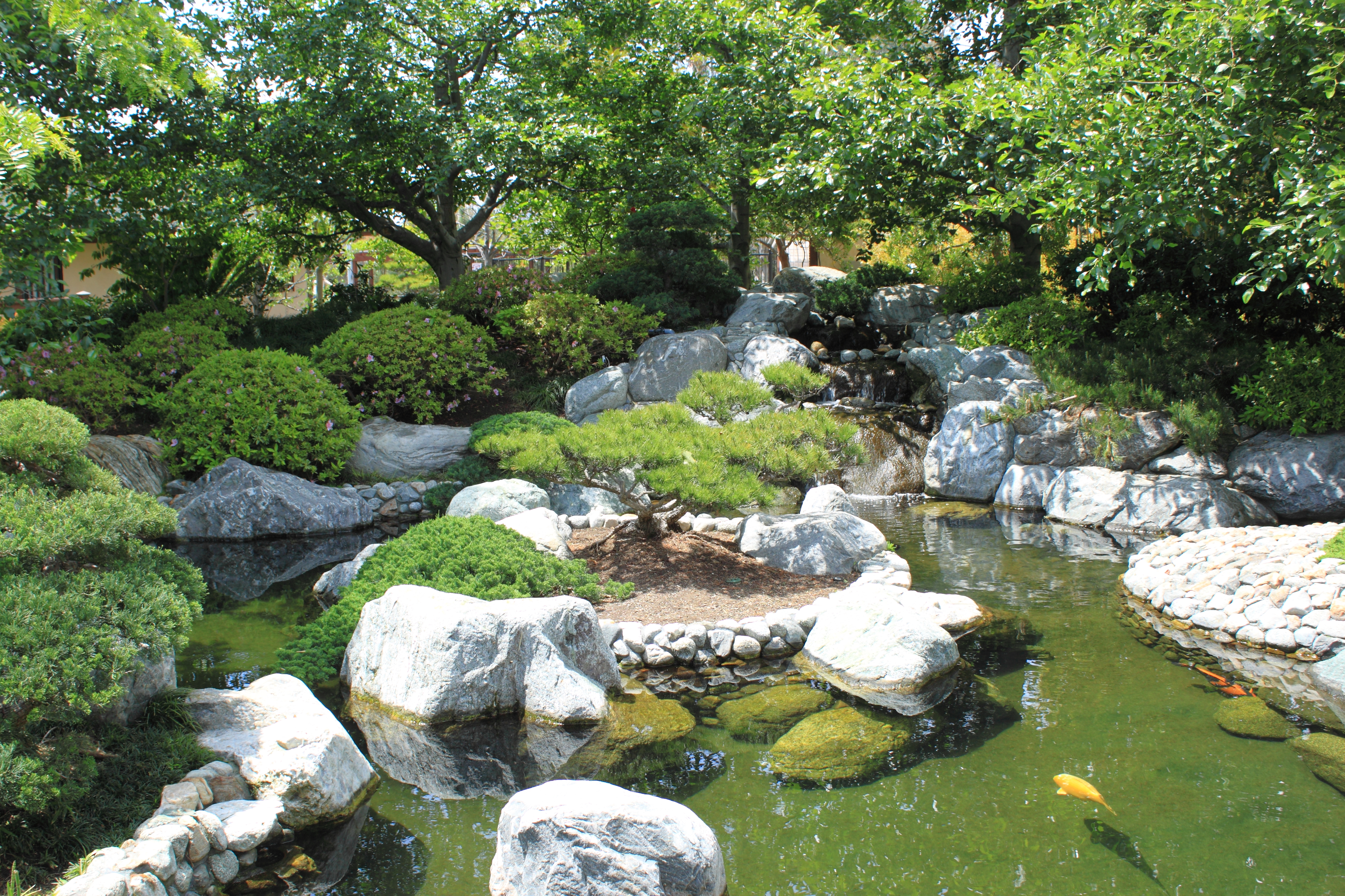 File Japanese Friendship Garden Path Koi Pond 2 Jpg Wikimedia