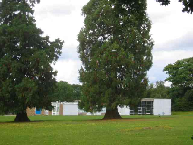 File:Jupiter Drive Junior School off Queensway Hemel Hempstead - geograph.org.uk - 43661.jpg