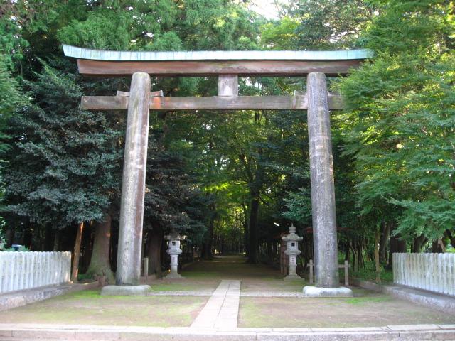 File:Komikadojinjya-torii-Komikadojinjyanomori-Narita-Nagoya.jpg