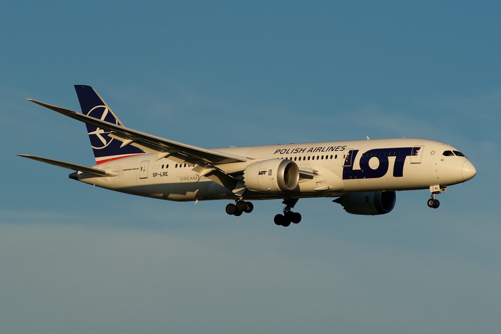 File:LOT Polish Airlines Boeing 787-8 SP-LRE (14020773270).jpg