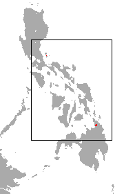 File:Large Mindanao Roundleaf Bat area.png