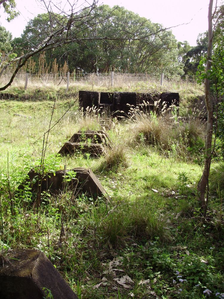 Machinery foundations at Lahey's Canungra Sawmill, 2008