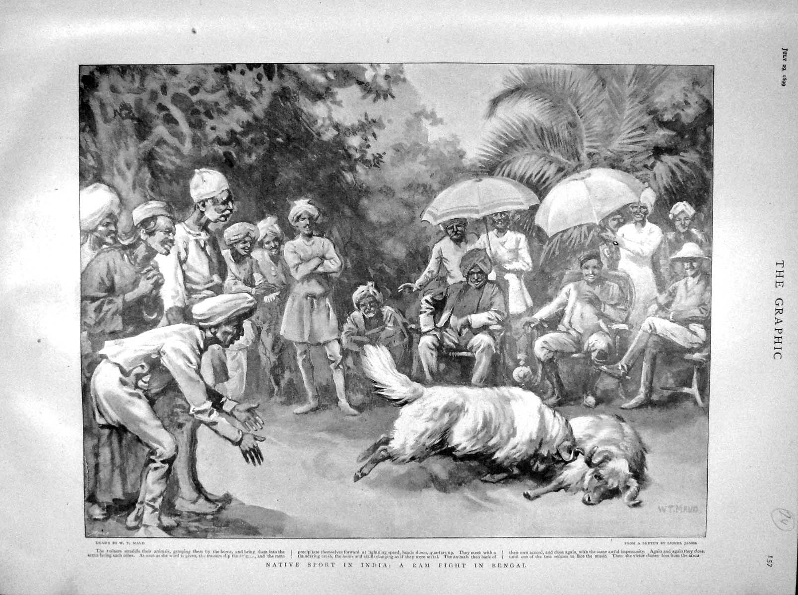 File:Native sport in India- a ram fight in Bengal, from The Graphic,  1899.jpg - Wikimedia Commons