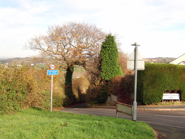 File:Oak tree alongside Higher Edginswell Lane - geograph.org.uk - 1051092.jpg