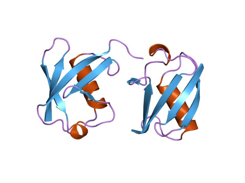 File:PDB 1tbe EBI.jpg