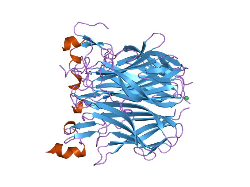 File:PDB 1xu2 EBI.jpg