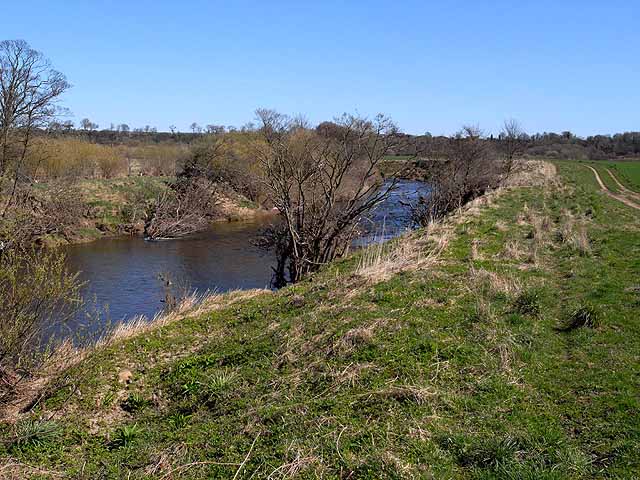 File:River Coquet downstream from Felton - geograph.org.uk - 1805461.jpg