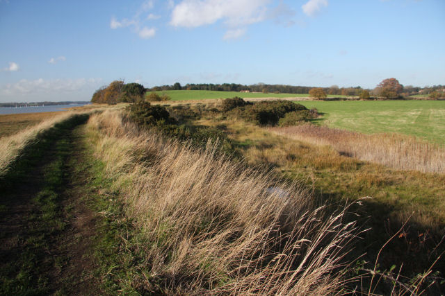 River bank footpath - geograph.org.uk - 1592164