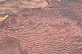 Devils Island Sandstone Ripples SandStoneRipples.jpg