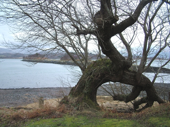 South Shian - geograph.org.uk - 346340