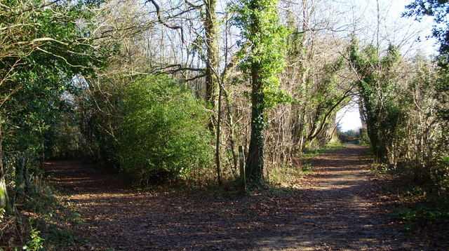 The road not taken. - geograph.org.uk - 1077046