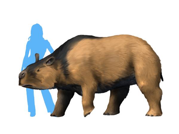 File:Toxodon NT small.jpg