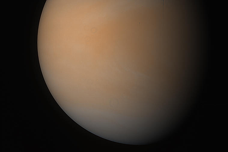 File:Venus - February 1990 (16355043031).jpg