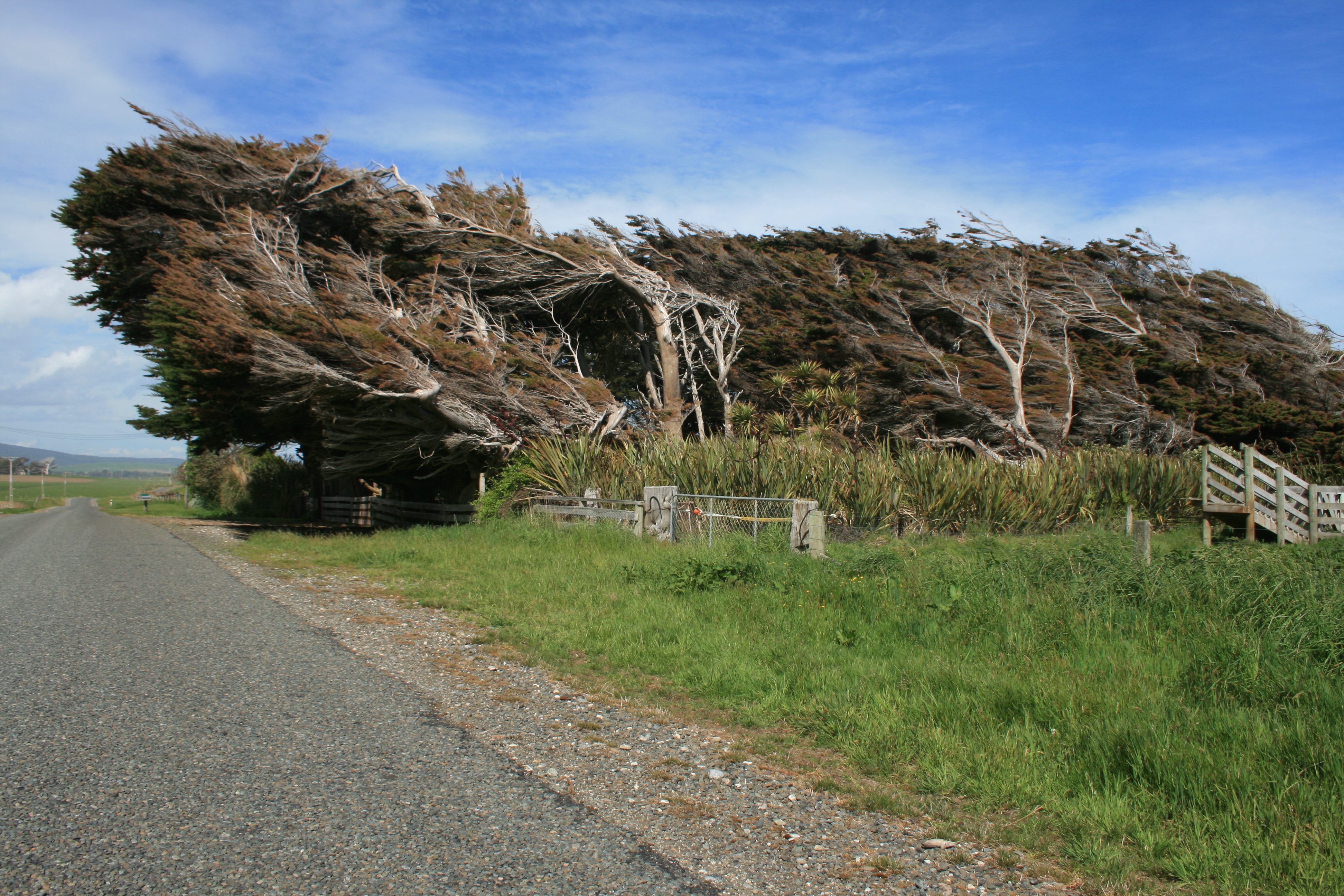 Bent wind