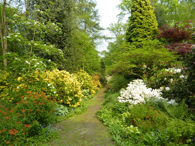 File:Woodland Garden, Doddington Place, Doddington - geograph.org.uk - 2958908.jpg
