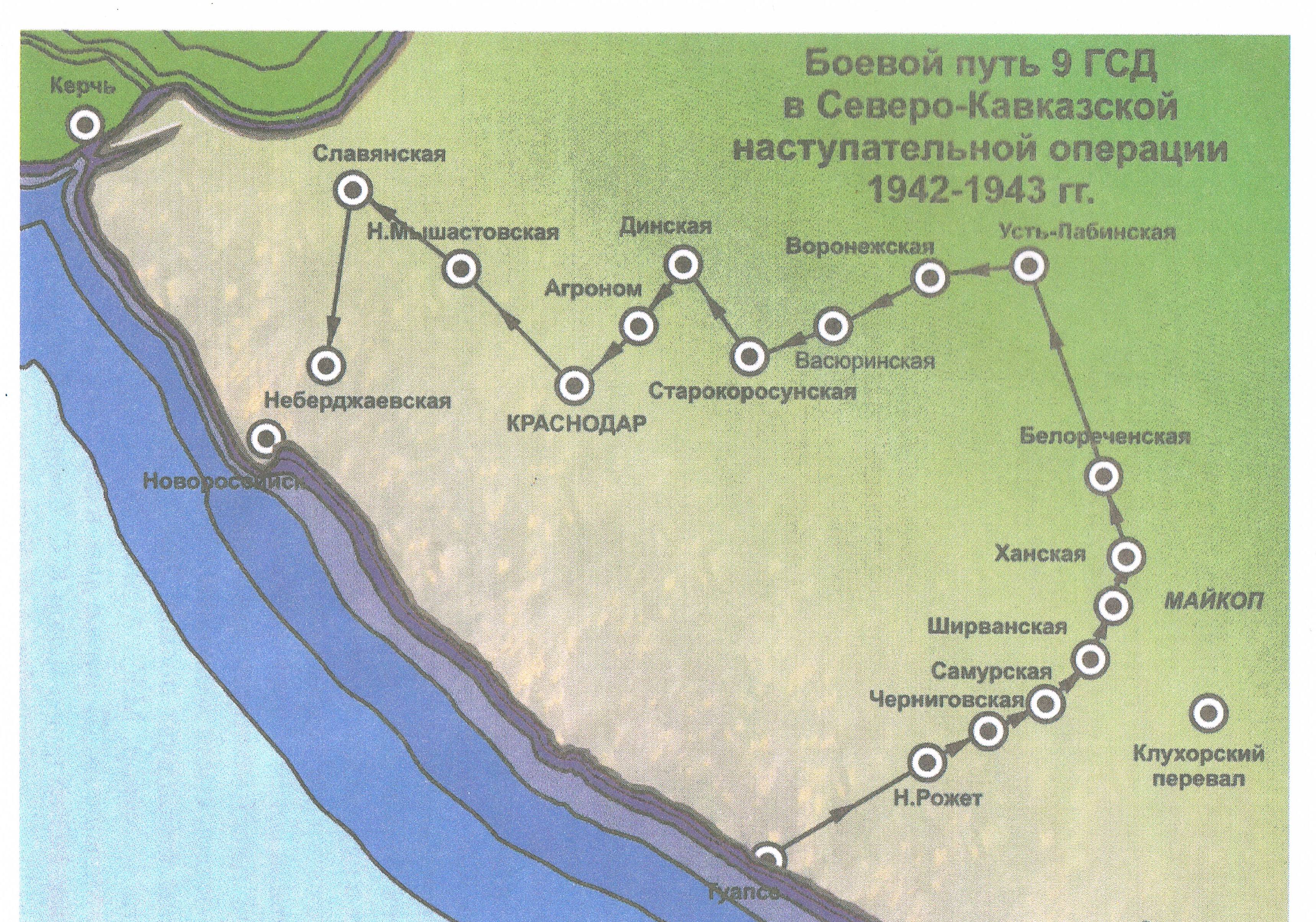 9 Пластунская дивизия боевой путь