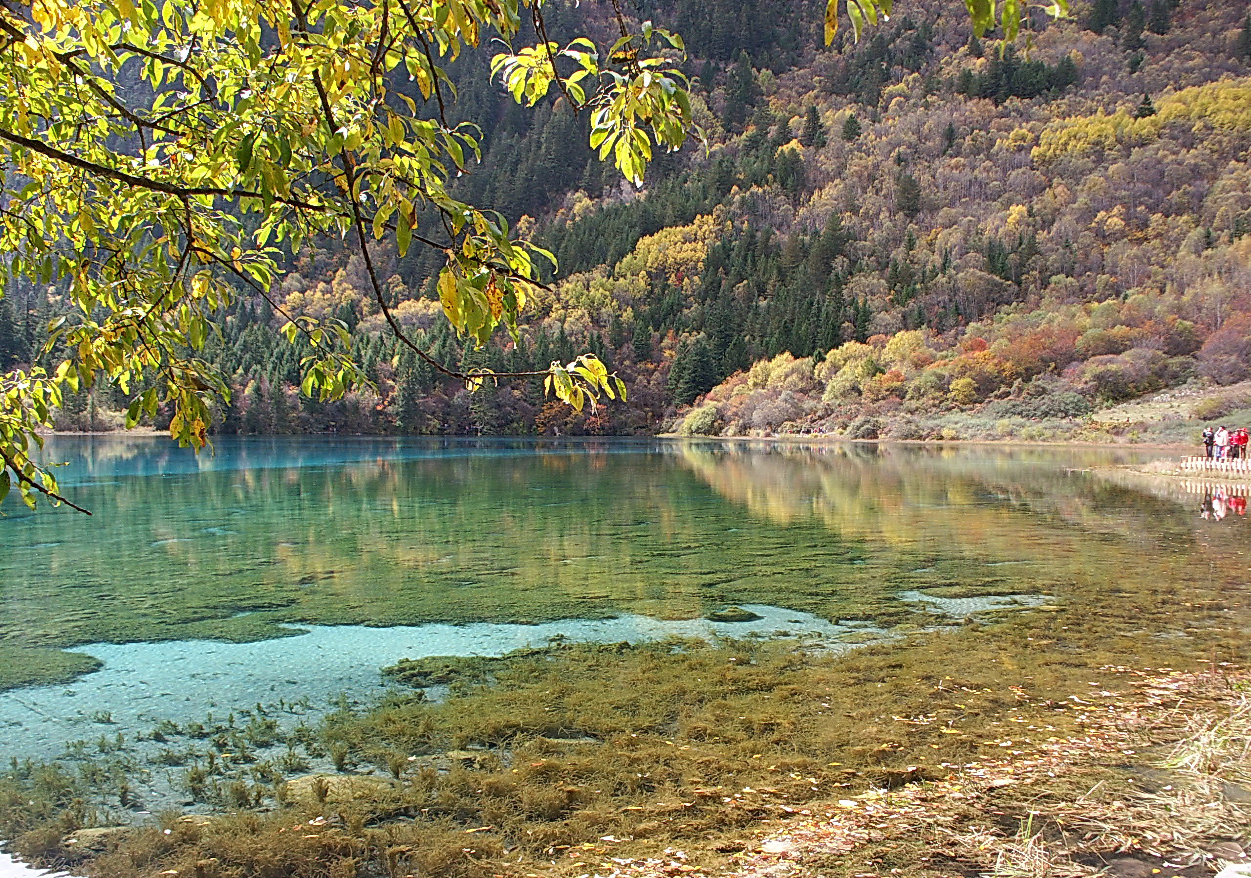 File 五花海 Wuhuahai Lake Panoramio 2 Jpg Wikimedia Commons