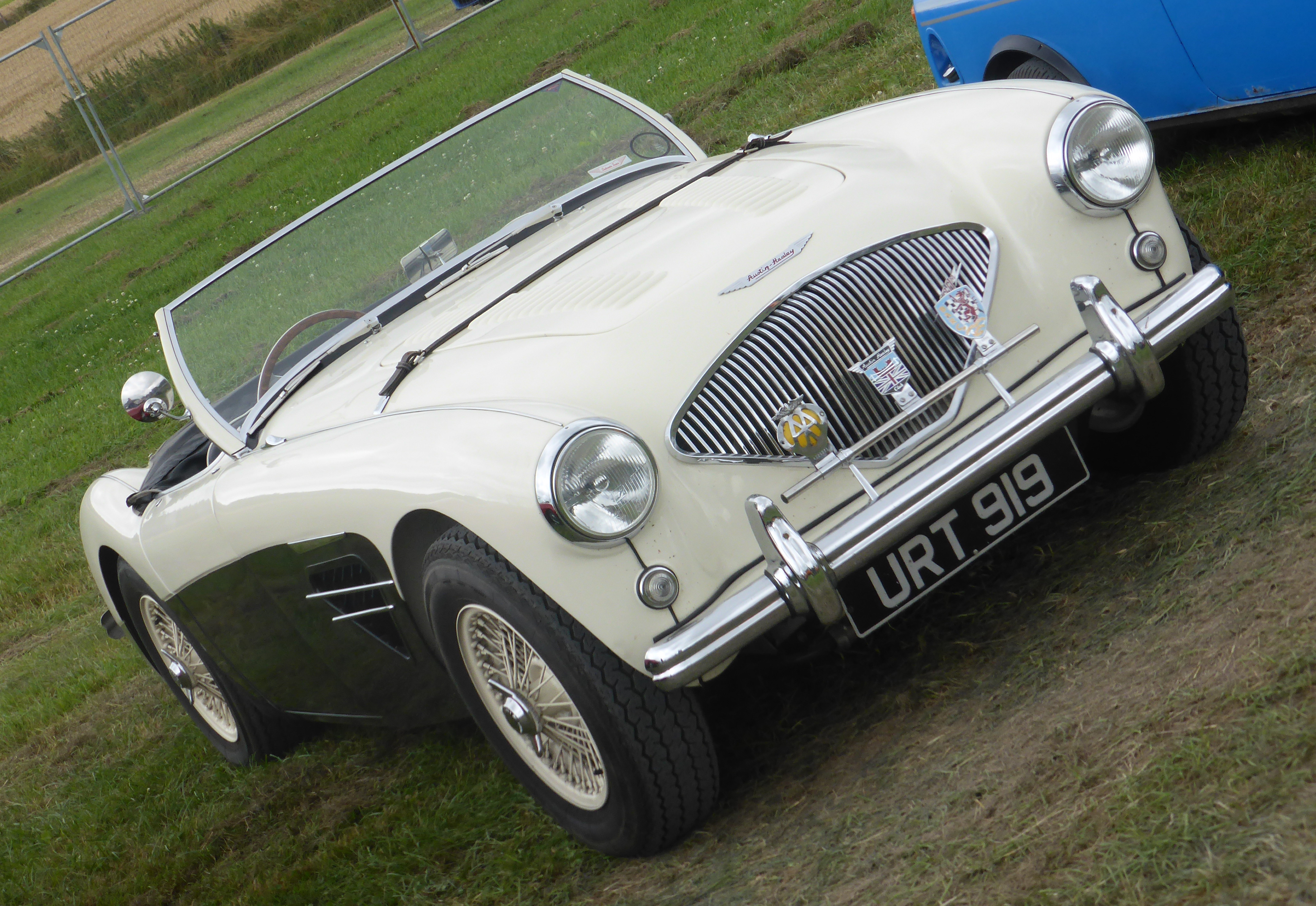 Austin Healey 100s Shelby