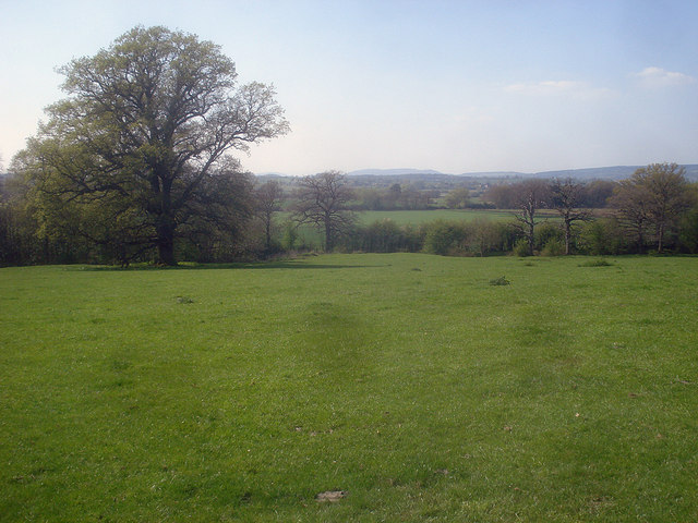 File:Berrington Hall parkland - geograph.org.uk - 1274998.jpg