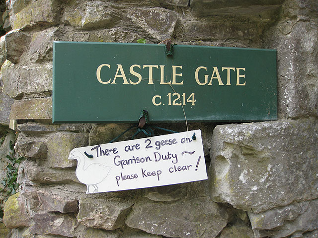 File:Beware^ Geese on Garrison Duty - geograph.org.uk - 1426102.jpg