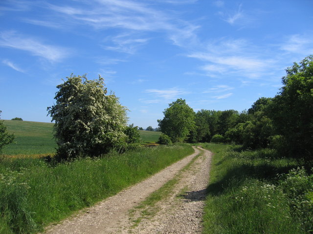 Bridleway and track to Ettington Park - geograph.org.uk - 181024