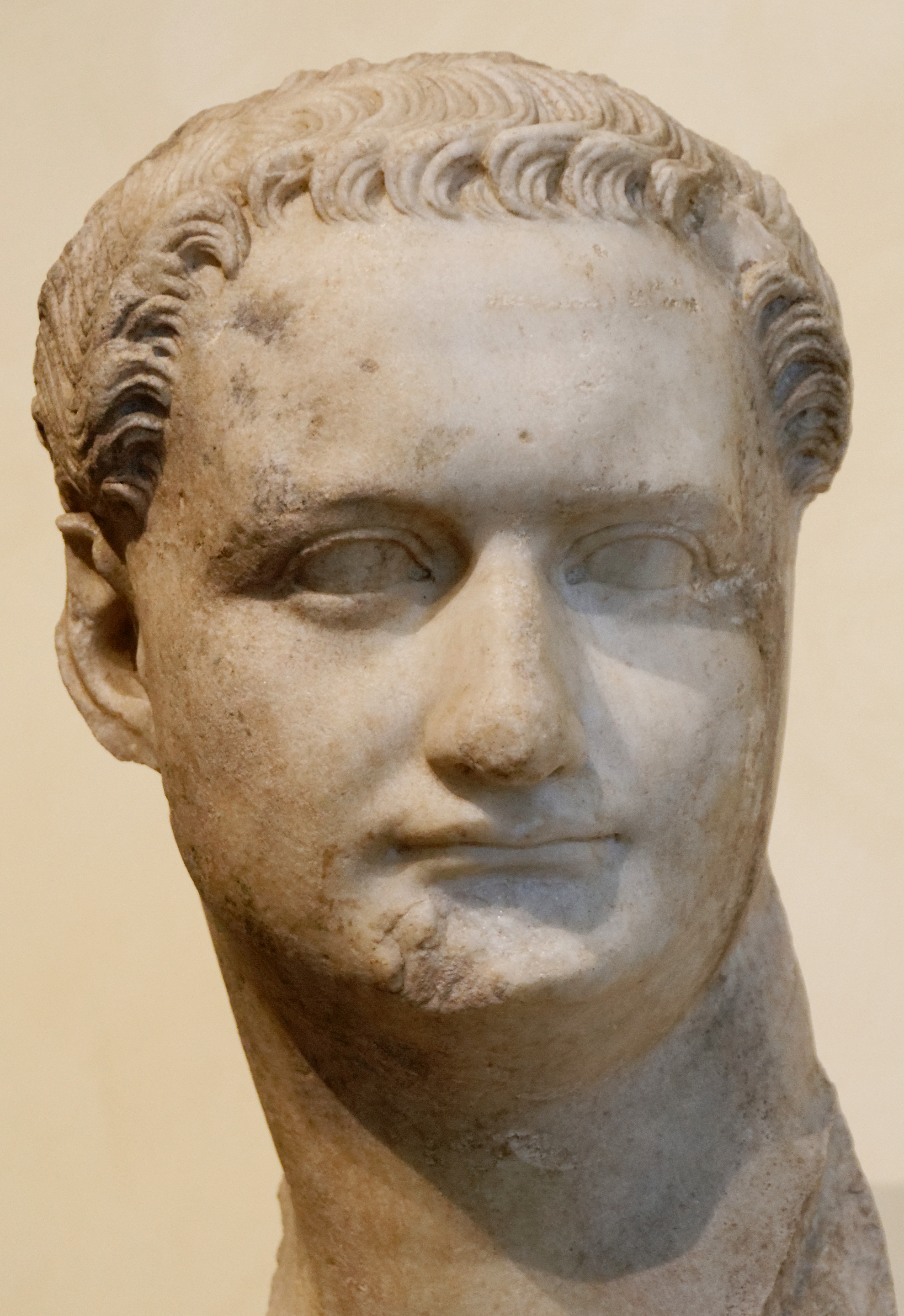 Pildiotsingu Domitianus (Germanicus) Augustus tulemus