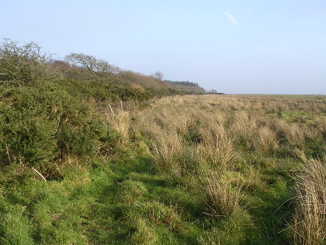 File:Caerlaverock National Nature Reserve - geograph.org.uk - 118276.jpg