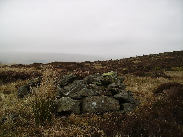 File:Cairn Saddle Hill - geograph.org.uk - 117340.jpg