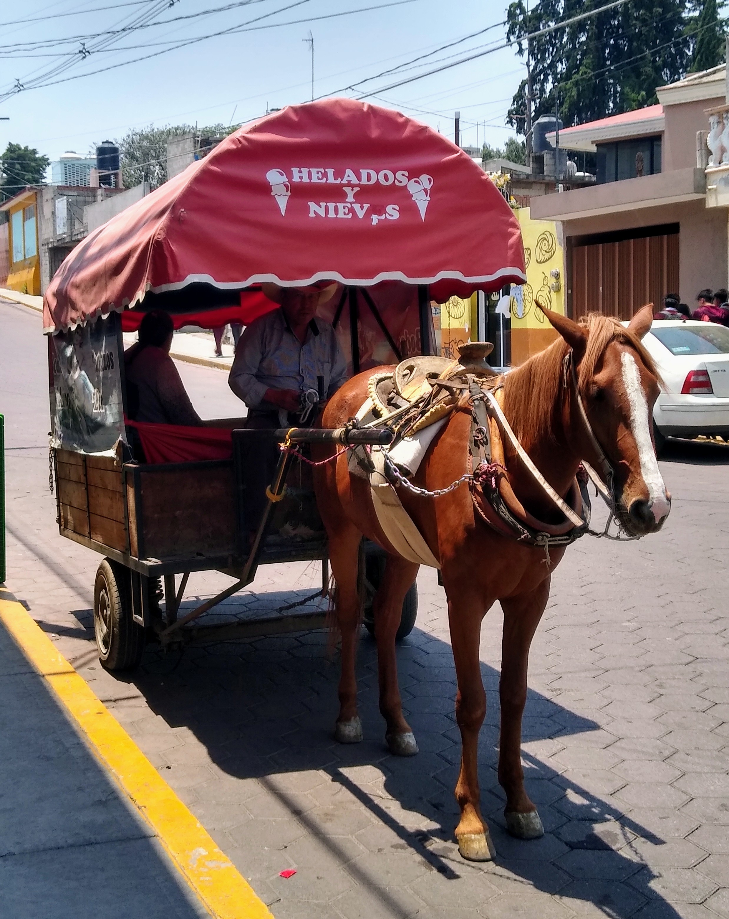 Carreta. Карета.